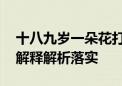 十八九岁一朵花打一种生肖打一个动物,精选解释解析落实