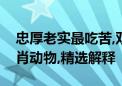 忠厚老实最吃苦,双数合单定格局打一最佳生肖动物,精选解释