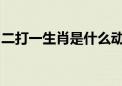 二打一生肖是什么动物生肖作答解析解释落实