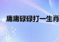 庸庸碌碌打一生肖动物,精选解析解释落实