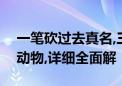 一笔砍过去真名,三五附合万众声打一个生肖动物,详细全面解