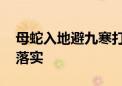 母蛇入地避九寒打一最佳生肖动物,精选解释落实