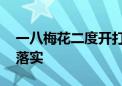 一八梅花二度开打一最佳生肖动物,精选解释落实