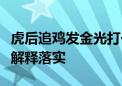 虎后追鸡发金光打一生肖是什么动物作答解析解释落实