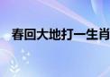 春回大地打一生肖动物,答案诠释解释落实