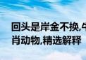 回头是岸金不换,牛头马面双双合打一最佳生肖动物,精选解释