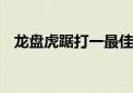 龙盘虎踞打一最佳生肖动物,精选解释落实