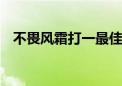 不畏风霜打一最佳生肖动物,精选解释落实