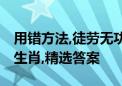 用错方法,徒劳无功,辛苦白忙一场空是指什么生肖,精选答案