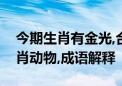 今期生肖有金光,合六特马出山林打一最新生肖动物,成语解释