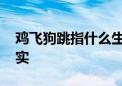 鸡飞狗跳指什么生肖猜一个动物,答案解释落实