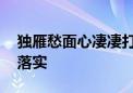 独雁愁面心凄凄打一最佳生肖动物,精选解释落实