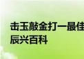 击玉敲金打一最佳生肖动物,精选解释落实 – 辰兴百科