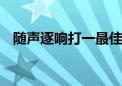 随声逐响打一最佳生肖动物,词语解释落实