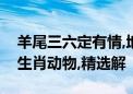 羊尾三六定有情,地上走来水里游是打一最佳生肖动物,精选解