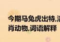 今期马兔虎出特,洛书五道出将军打一最佳生肖动物,词语解释