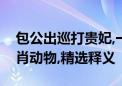 包公出巡打贵妃,一三四五相加数打一最佳生肖动物,精选释义