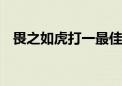 畏之如虎打一最佳生肖动物,词语解释落实