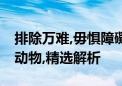 排除万难,毋惧障礙;三七回头四观临打一生肖动物,精选解析