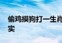 偷鸡摸狗打一生肖数字动物,最新诗意解释落实