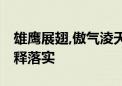 雄鹰展翅,傲气淩天打一最佳生肖动物,词语解释落实