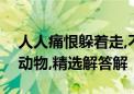 人人痛恨躲着走,不白之冤无处伸打一个生肖动物,精选解答解