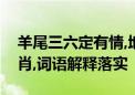 羊尾三六定有情,地上走来水里游打一准确生肖,词语解释落实