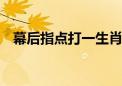 幕后指点打一生肖动物,词语解答解析落实