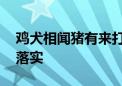 鸡犬相闻猪有来打一最佳生肖动物,词语解释落实