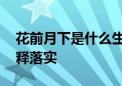 花前月下是什么生肖猜一个动物,完美揭晓解释落实