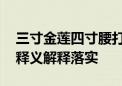 三寸金莲四寸腰打一最佳生肖动物数字,精选释义解释落实