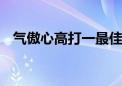 气傲心高打一最佳准确生肖,成语解释落实