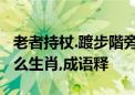 老者持杖.踱步階旁.缓慢而下.身影悠长指是什么生肖,成语释