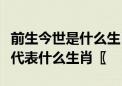 前生今世是什么生肖前生今世是什么生肖动物代表什么生肖〖