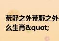 荒野之外荒野之外来巡逻小小少年爬上树是什么生肖"