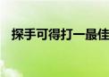 探手可得打一最佳生肖动物,词语解释落实