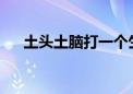 土头土脑打一个生肖数字第一解析落实