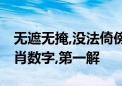 无遮无掩,没法倚傍,勇闯高峯更彷徨打一个生肖数字,第一解