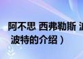 阿不思 西弗勒斯 波特（关于阿不思 西弗勒斯 波特的介绍）