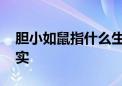 胆小如鼠指什么生肖猜一个动物,答案解释落实