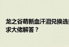 龙之谷萌新血汗泪兑换选择以及满级以后大方向指引，能否求大佬解答？