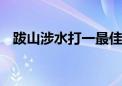 跋山涉水打一最佳生肖动物,精选解释落实