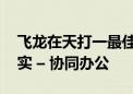 飞龙在天打一最佳生肖动物,科学词语解释落实 – 协同办公