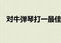 对牛弹琴打一最佳准确生肖,成语解释落实