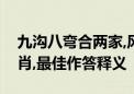 九沟八弯合两家,风靡一时三六九指是什么生肖,最佳作答释义