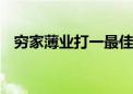 穷家薄业打一最佳生肖动物,词语解释落实