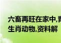 六畜再旺在家中,青山处处埋忠骨打一个最佳生肖动物,资料解