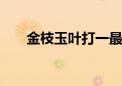 金枝玉叶打一最佳生肖,答案曝光落实