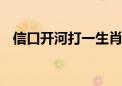 信口开河打一生肖数字,词语解析释义落实