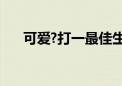 可爱?打一最佳生肖动物,词语解释落实